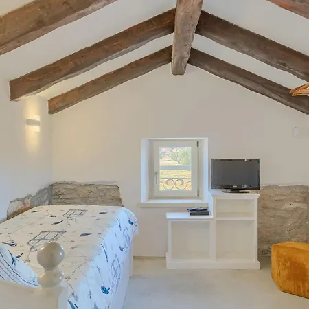 Spacious Country With Private Pool Vila Tar-Vabriga