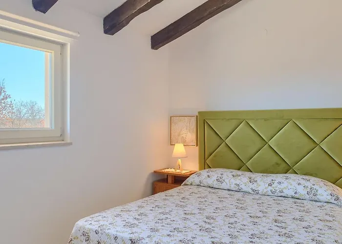 Spacious Country With Private Pool Vila Tar-Vabriga